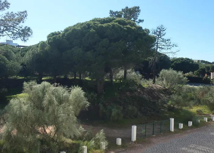 Casa Bambu, Paraiso Na Terra